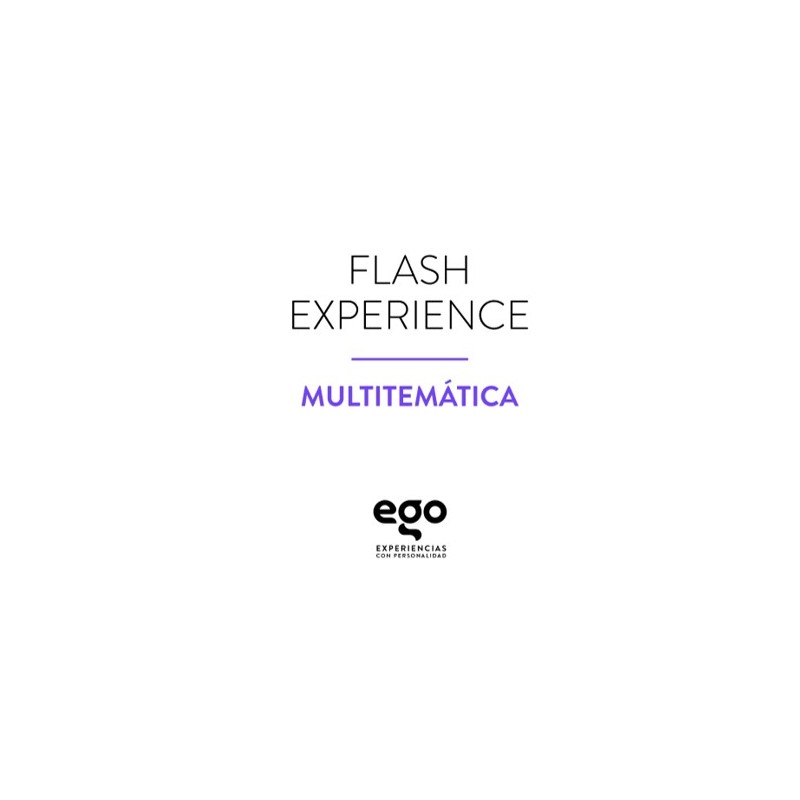 EGO FLASH EXPERIENCE