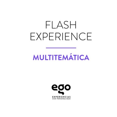 EGO FLASH EXPERIENCE